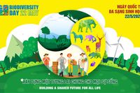 Ngày Quốc tế đa dạng sinh học 22/5/2022: Xây dựng một tương lai chung cho mọi sự sống