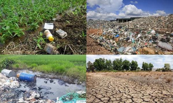 Chương trình Bồi dưỡng khắc phục khu vực đất ô nhiễm