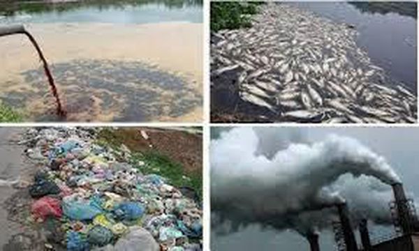 Chương trình Bồi dưỡng đăng ký các khu vực ô nhiễm tại Việt Nam