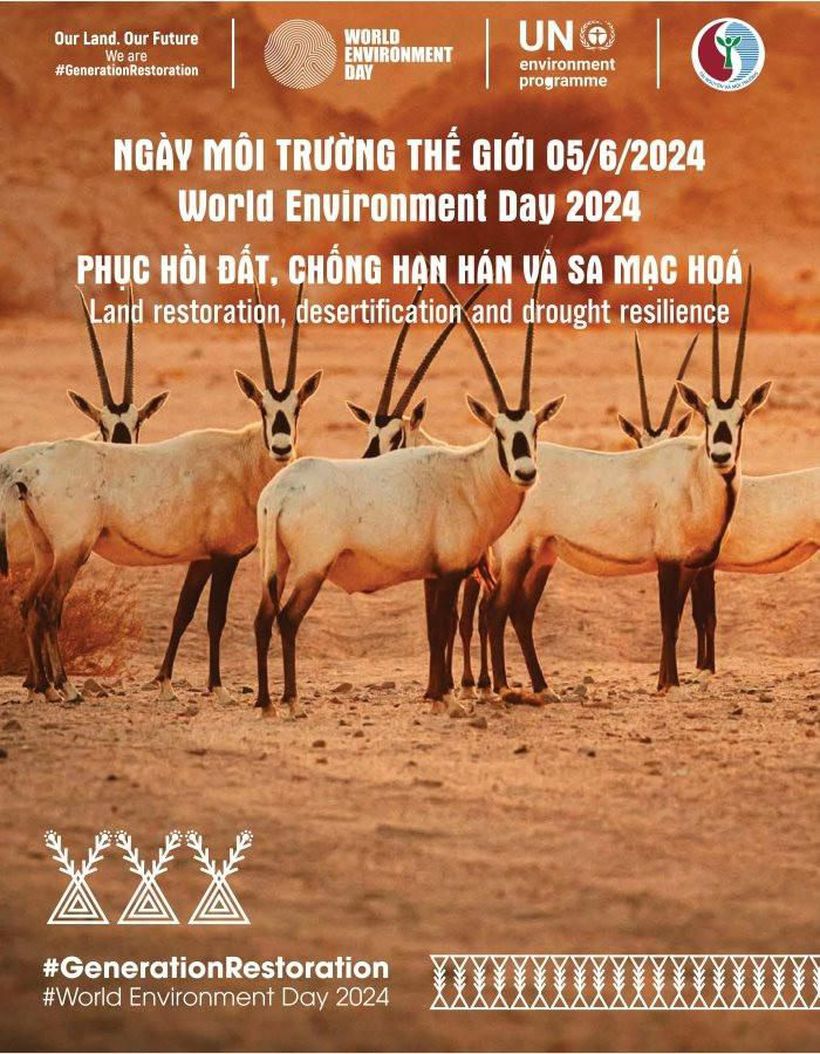 poster ngay MTTG 2024.jpg