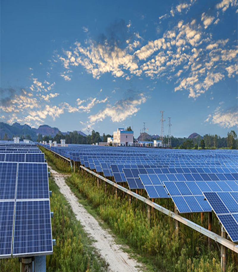 Hệ thống điện mặt trời kết hợp trồng trọt