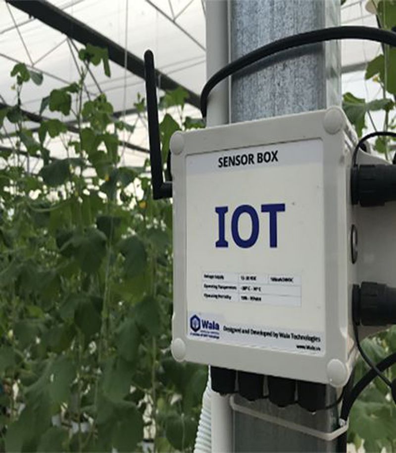 Hệ thống IoT giám sát nhà kính – SmartGreen IoT